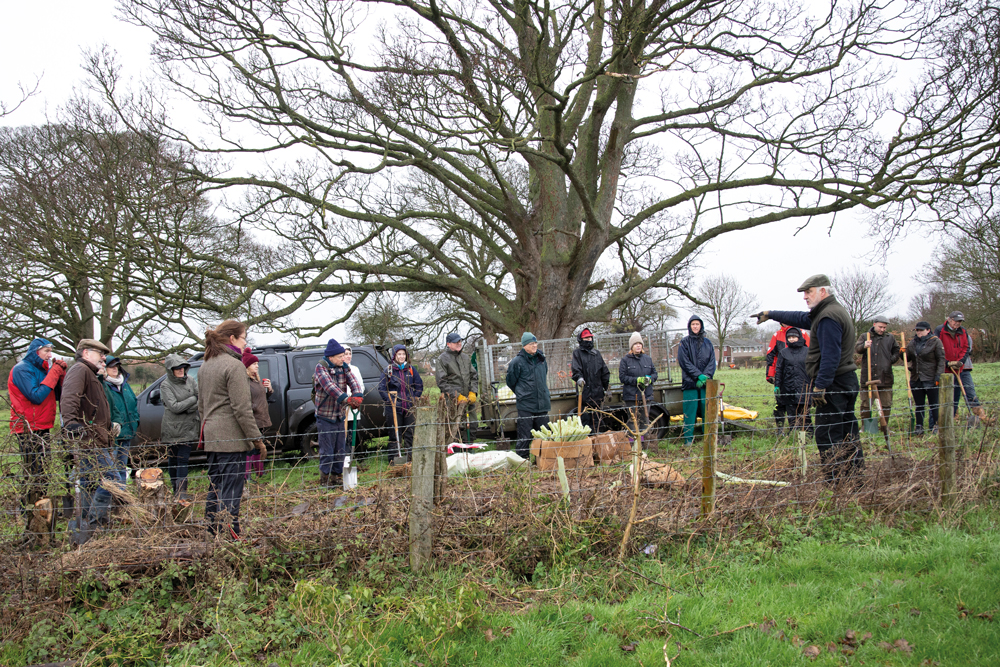 Volunteers at a hedgelaying workshop in Oxfordshire