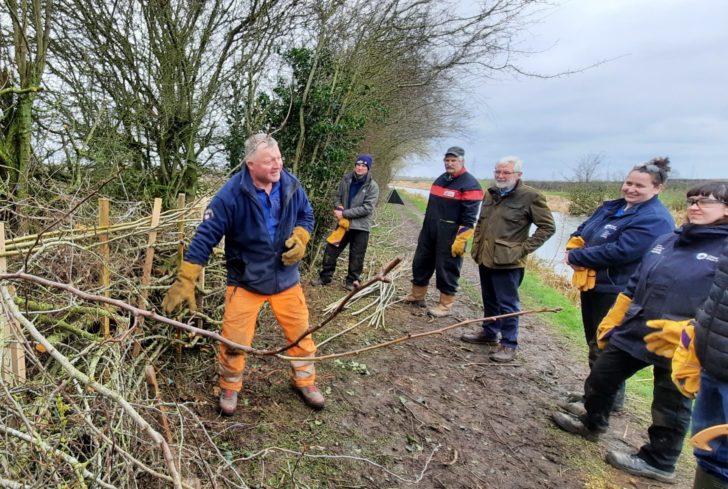A hedgelaying training session in Northamptonshire on a grey day 