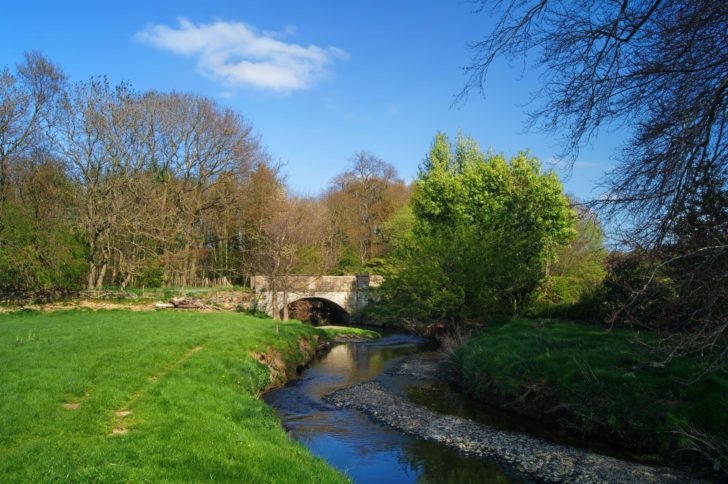 The River Dearne on a sunny autumn day near High Hoyland, with a small bridge running over it.