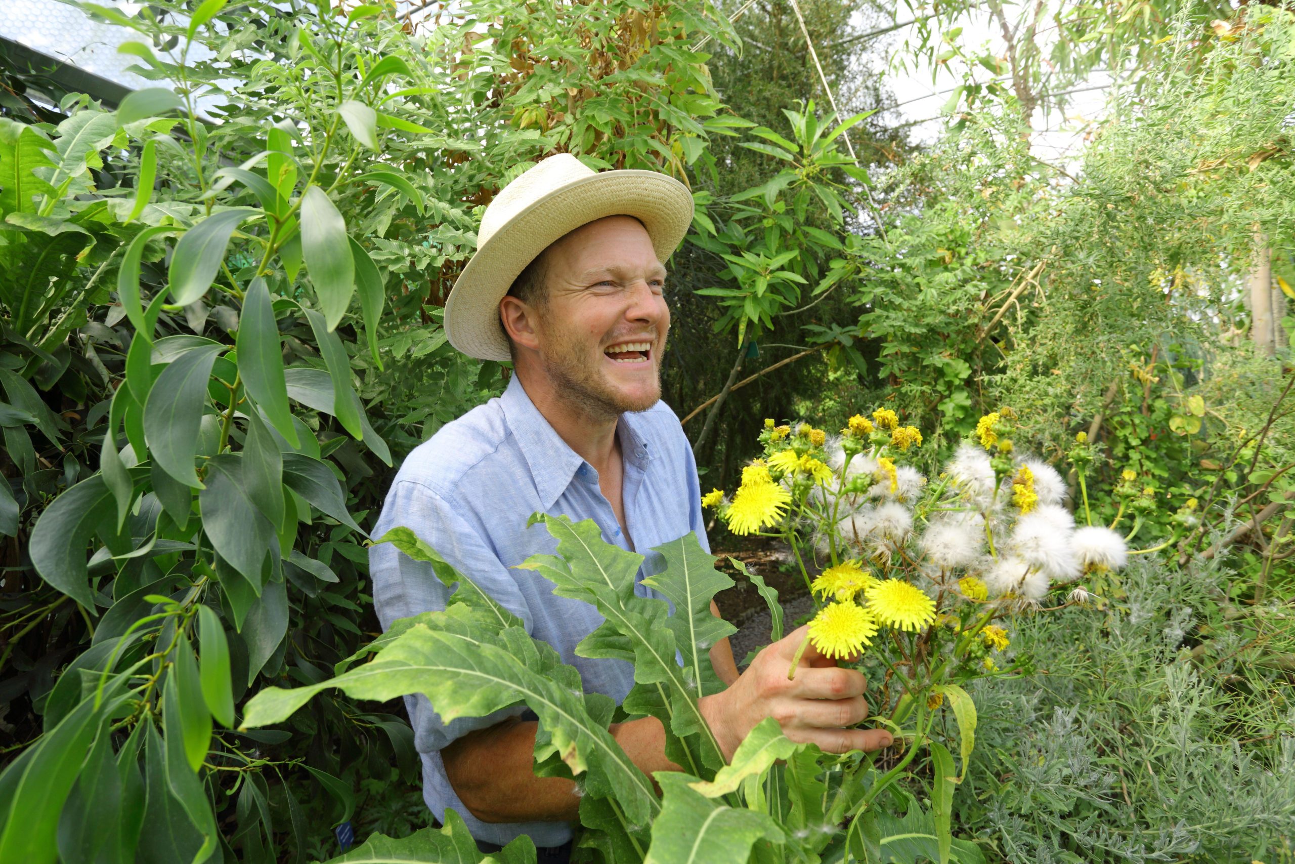 Tom Hart Dyke smiles while tending to his plants at Lullingstone Castle