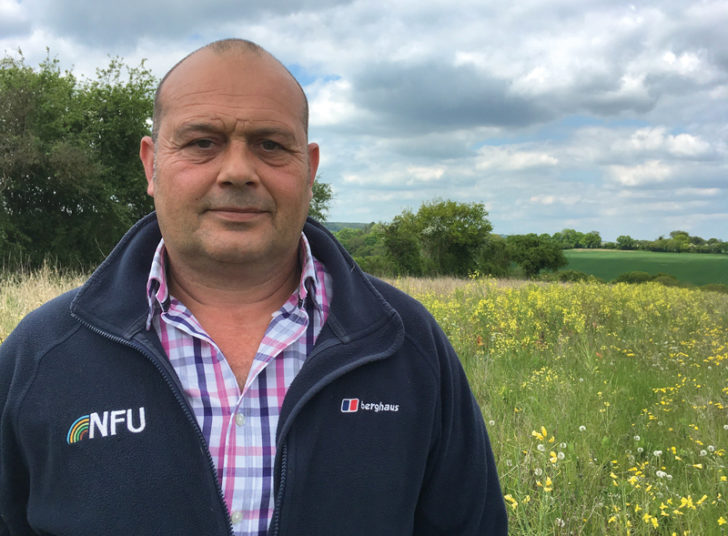 Man stood in front of flowering grassland on farm