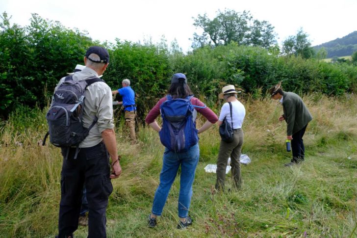 People taking part in a hedgerow insect walk