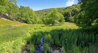 Marshy River Lathkill near its source in Lathkill Dale, Peak District National Park, Derbyshire