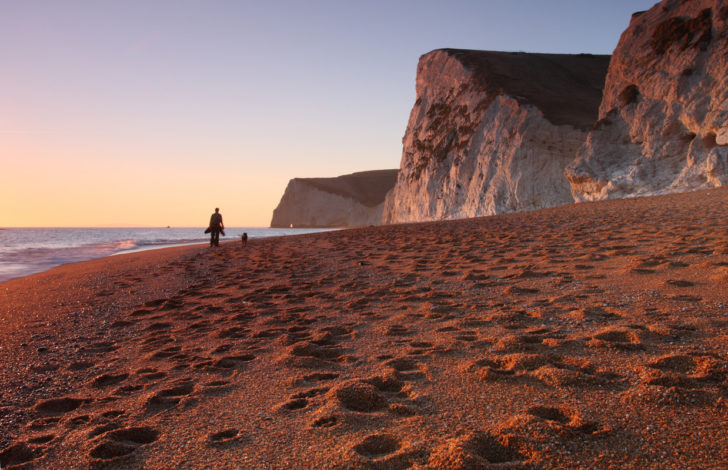 Person and dog walking on beach on Jurassic Coast, Dorset