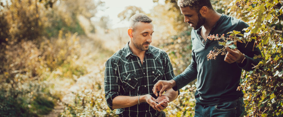 Two men picking blackberries from a hedgerow on a country path (3)-scr