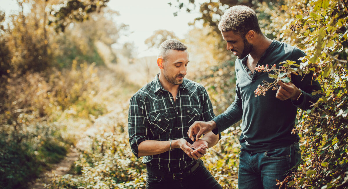 Two men picking blackberries from a hedgerow on a country path (3)-scr