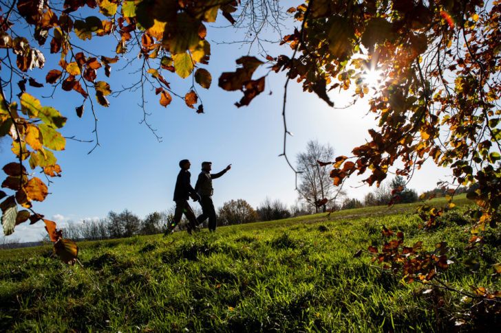 Couple walking in a field in the Autumn