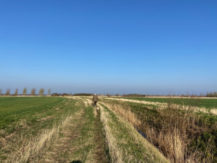 A man walking a dog along agricultural fields on a clear autumn day in the fens