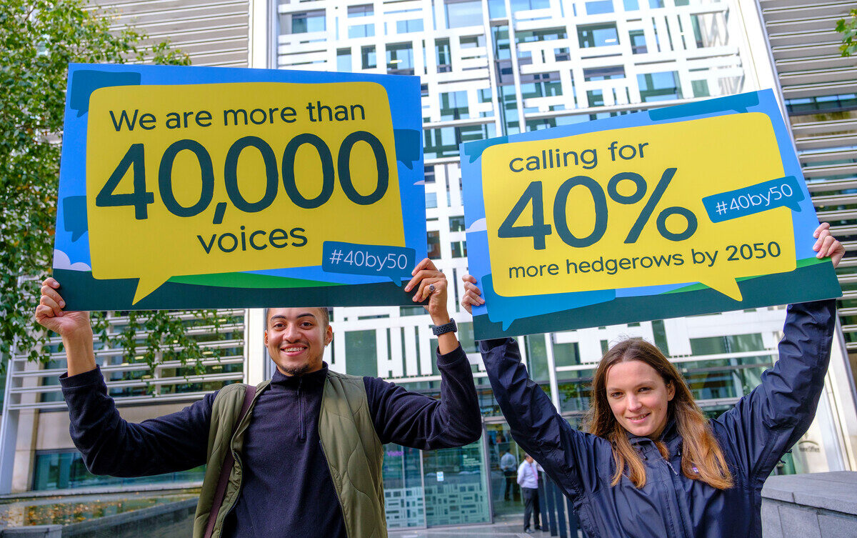 Huge campaign win as government sets hedgerow targets - CPRE