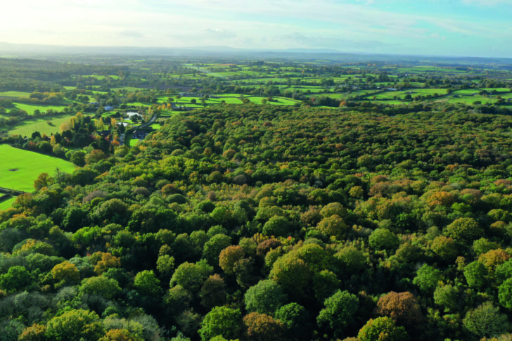 Aerial view of Pepper Wood in Bromsgrove