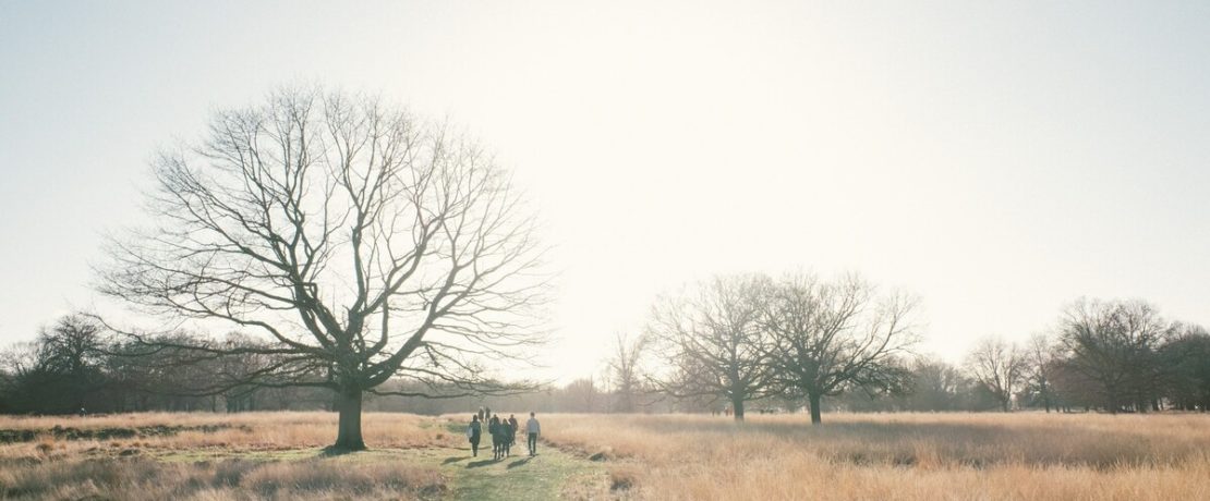 Walkers on a grassy path in London's Richmond Park