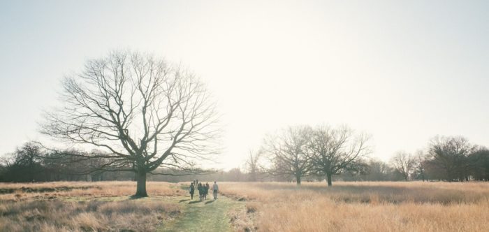 Walkers on a grassy path in London's Richmond Park