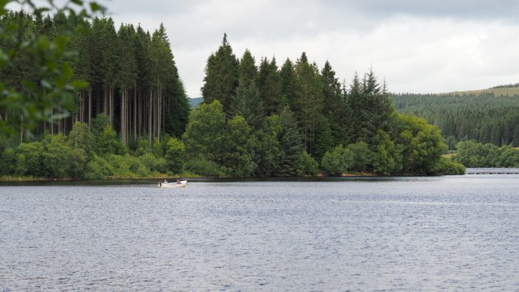 Kielder Water Reservoir and Forest