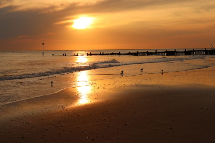 A wintry sunset scene on the Norfolk coast, with seabirds on the beach