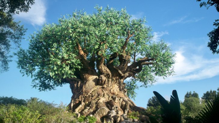 The 'Tree of Life' attraction at Walt Disney World