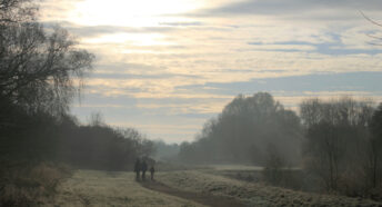 Walkers on a misty morning on fields in London green belt