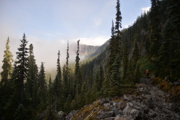 Mountains and coniferous trees as part of the Pacific Crest Trail near Seattle