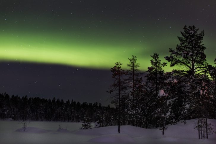 A snowy forest in Finland with the northern lights in the background