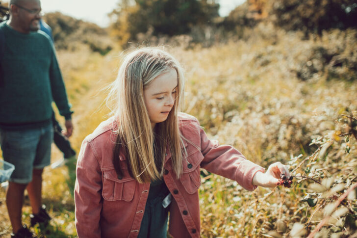 A young girl picking blackberries from a hedgerow