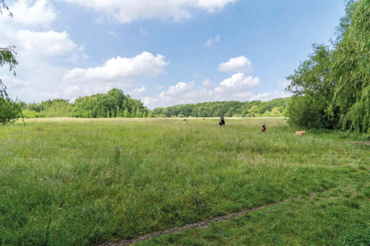 A family walking in Fletcher Moss park