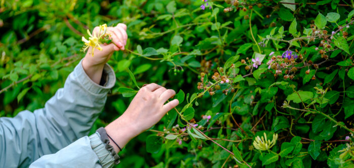 Two young girls looking at hedgerow flowers