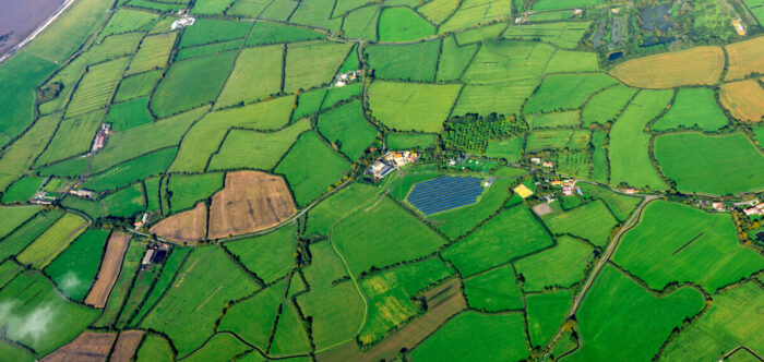 Aerial view of hedgerows in North Somerset