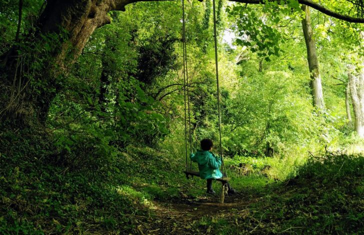 Child sat on swing under tree