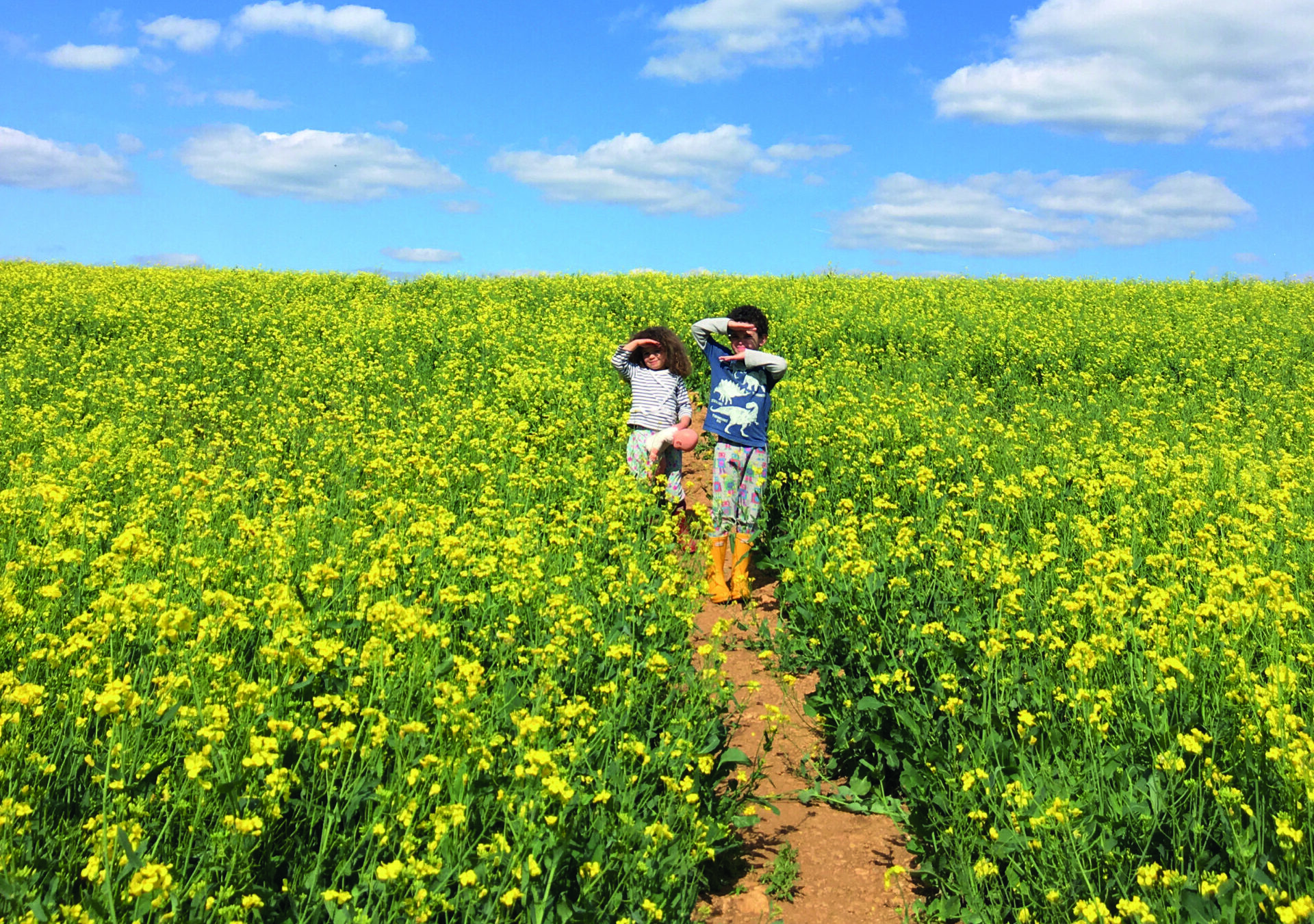 Two children in a field with oilseed rape on a sunny day