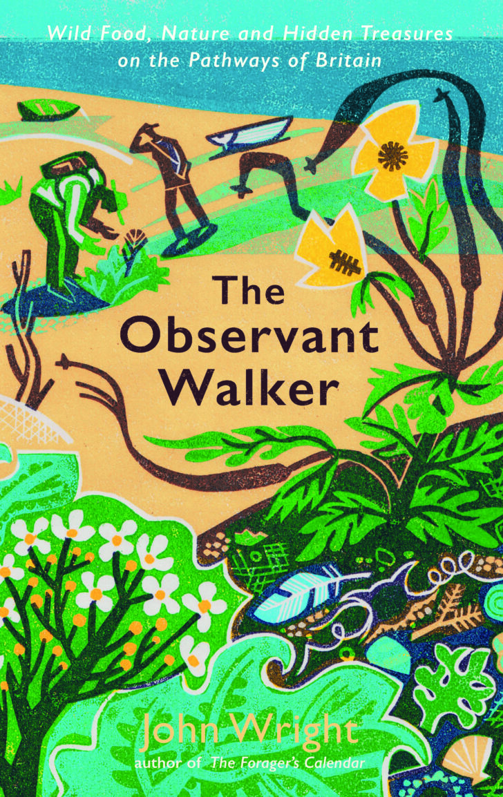 Cover art for the book 'The Observant Walker' which features illustrations of a coastline, wildflowers and various animals. 