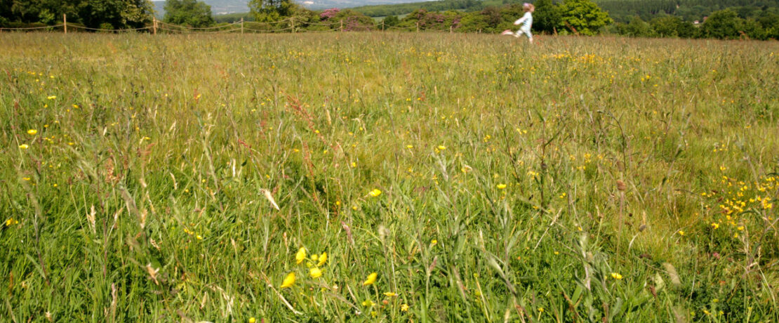 Girl running through meadow