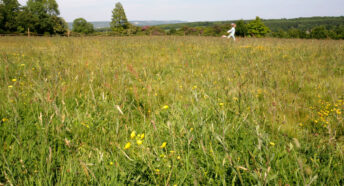 Girl running through meadow