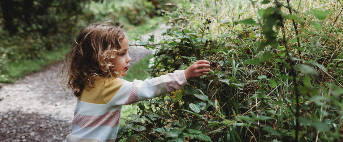 Child touching hedgerow