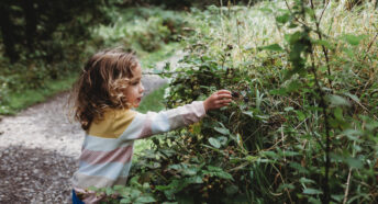 Child touching hedgerow