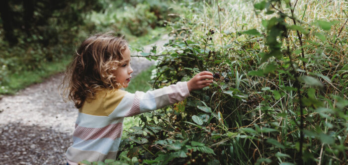 Child touching hedgerow