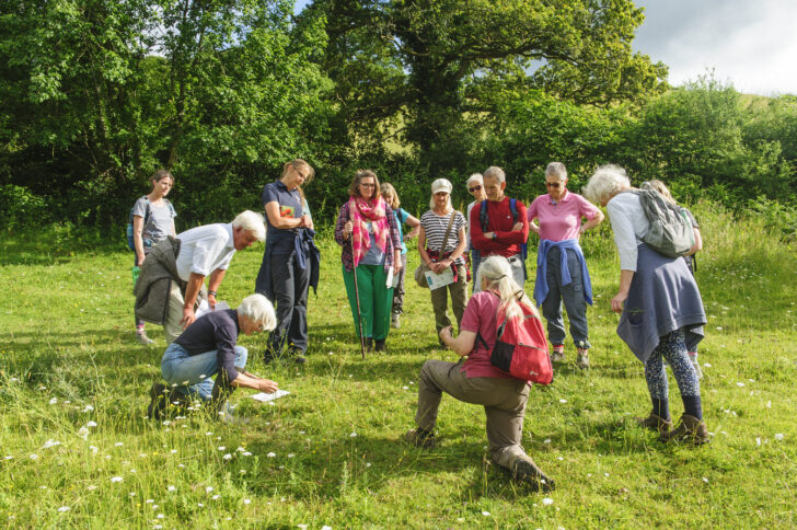 A group of volunteer wildlife wardens in a group on grassland at Deer Park Farm