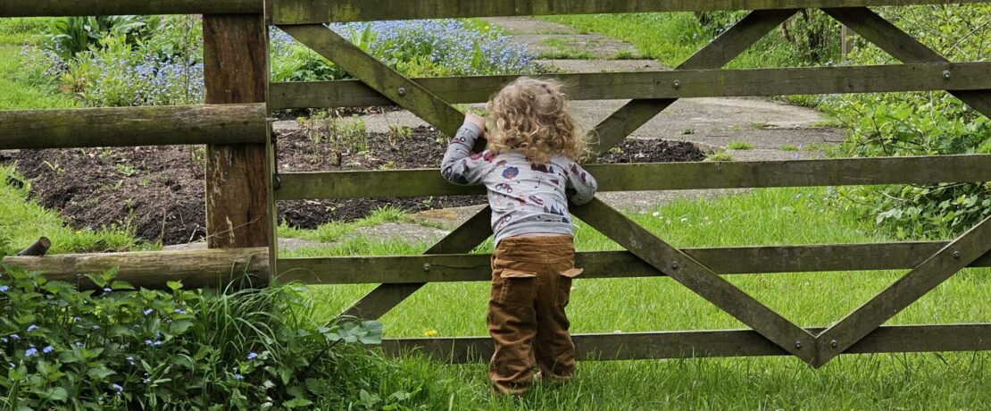 Young boy stood at wide farmers gate