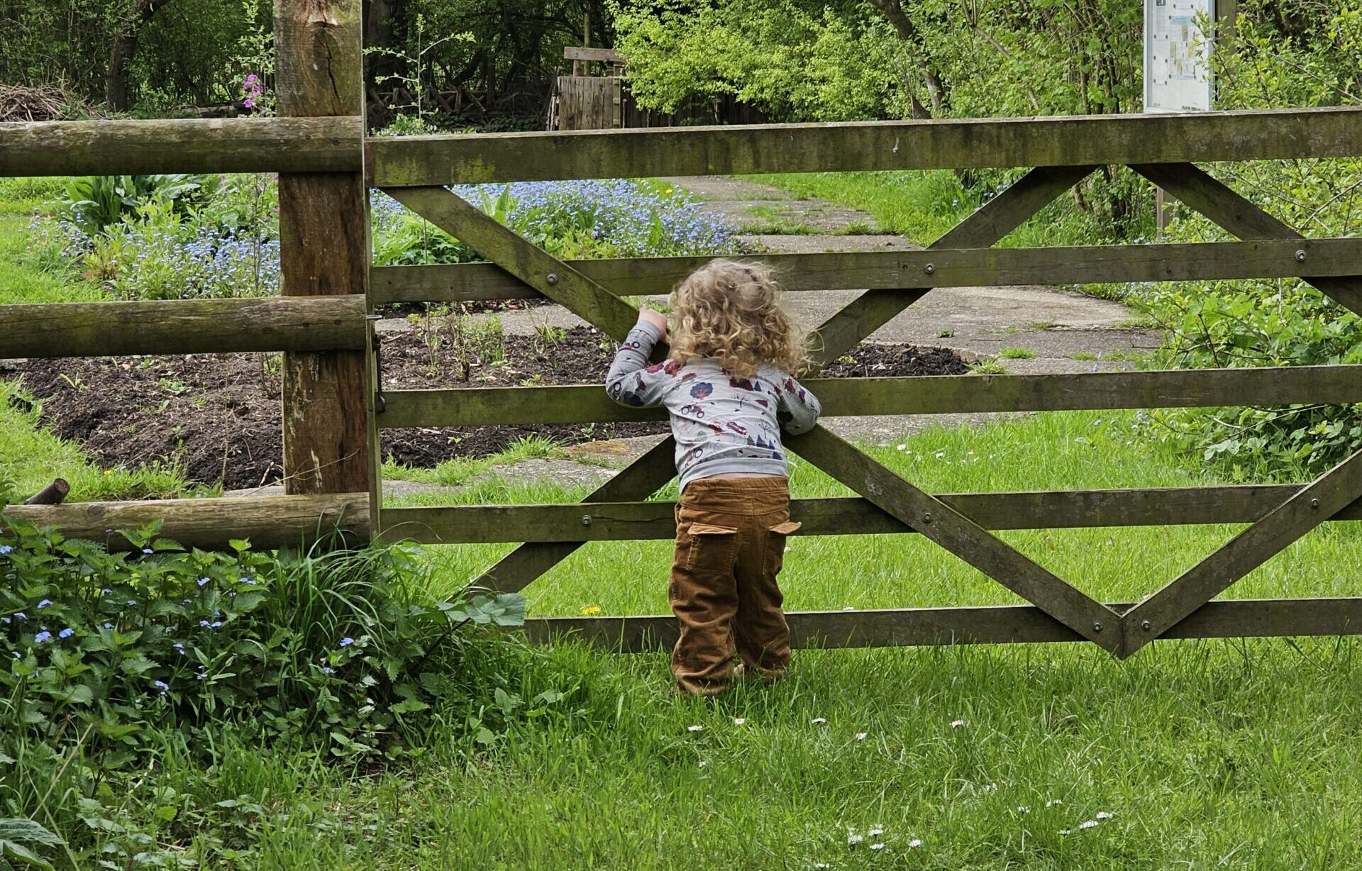 Young boy stood at wide farmers gate