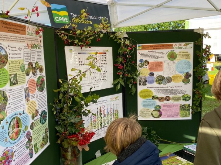 A joint display stall at an event by CPRE Oxfordshire and Wild Oxfordshire with various leaflets and greenery decoration