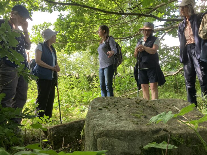 Volunteers enjoying Hawthornethwaite Wood