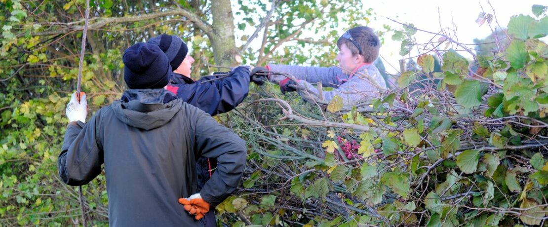 Close-up of older men learning about hedgelaying from instructor