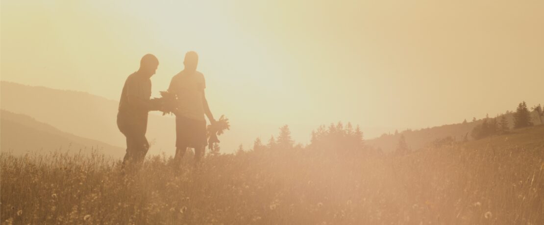 Two people walking across a sun drenched field at harvest