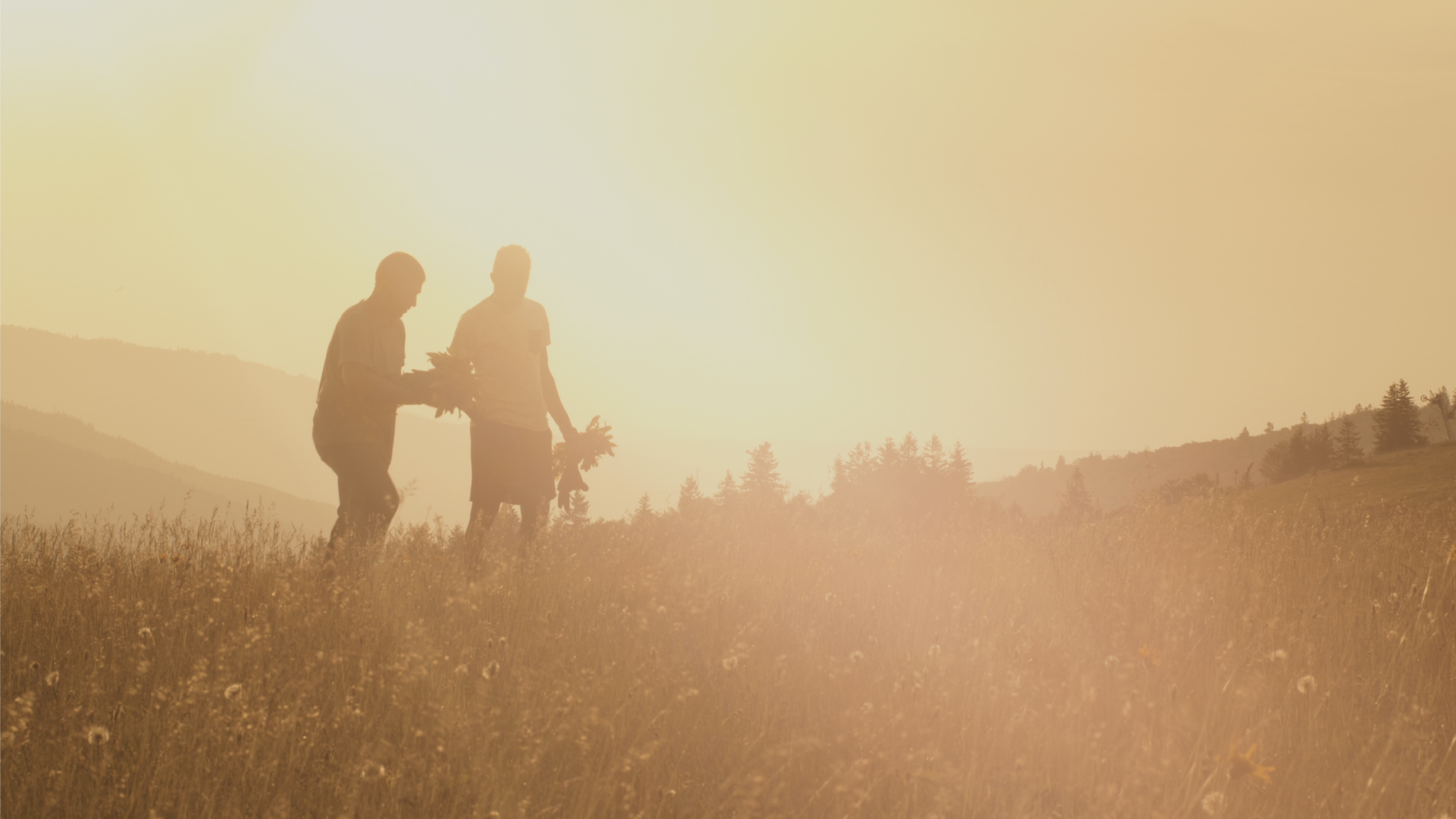 Two people walking across a sun drenched field at harvest