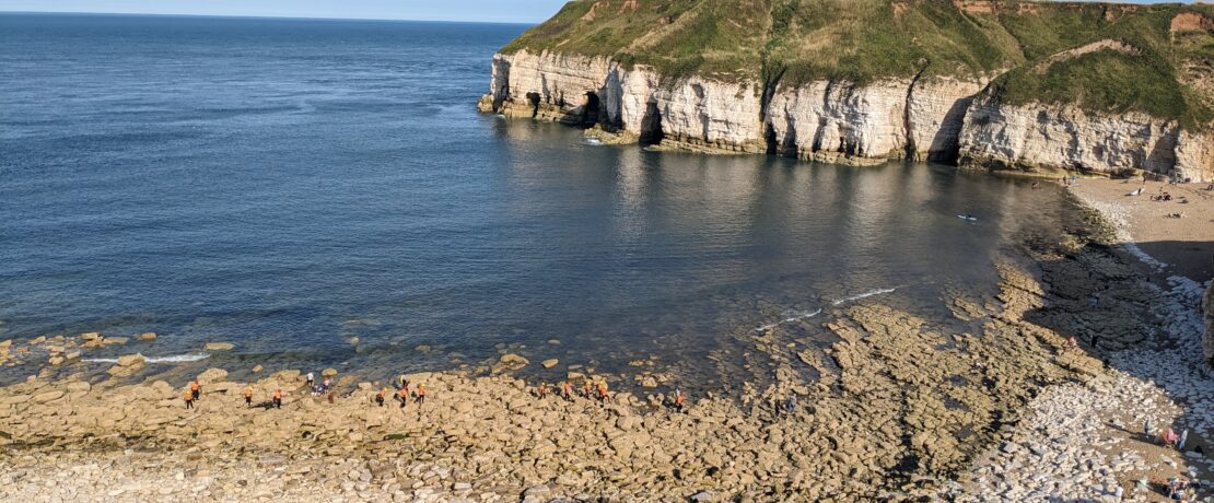 White cliffs of Flamborough Head