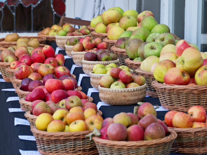 Several varieties of apples in baskets on a market stall