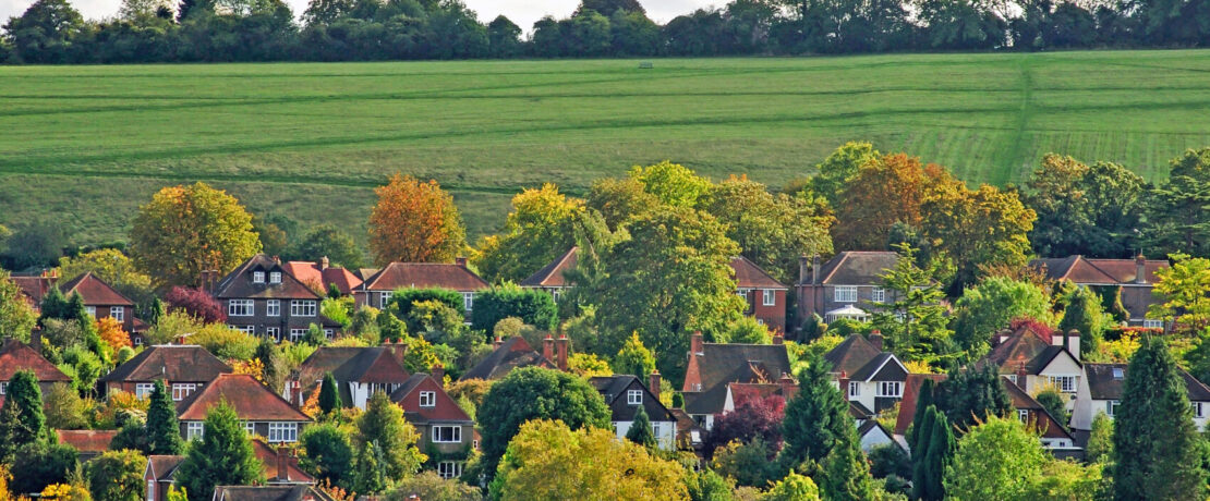 Houses and Green Belt land in Surrey