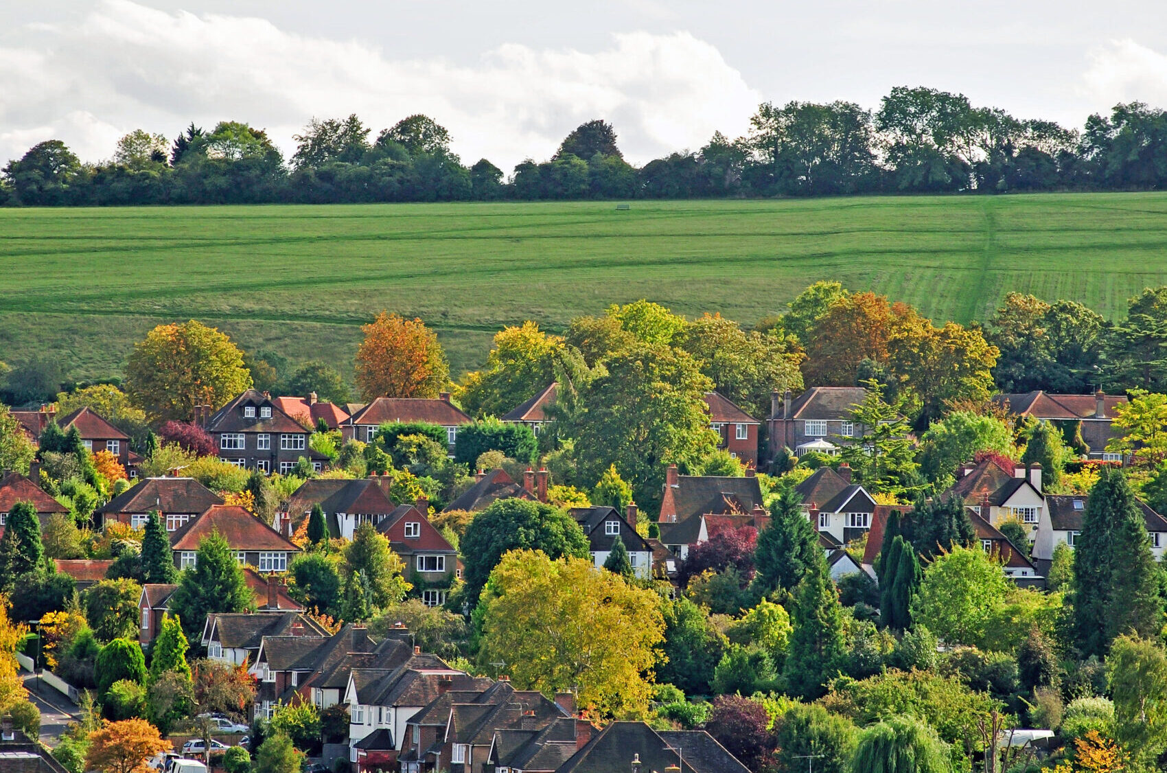 Houses and Green Belt land in Surrey