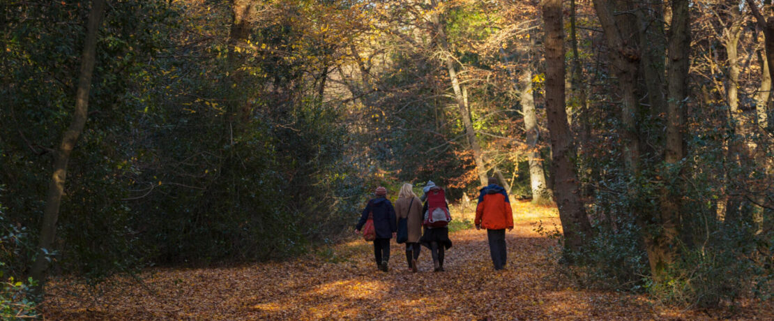 Walking through a woodland in autumn