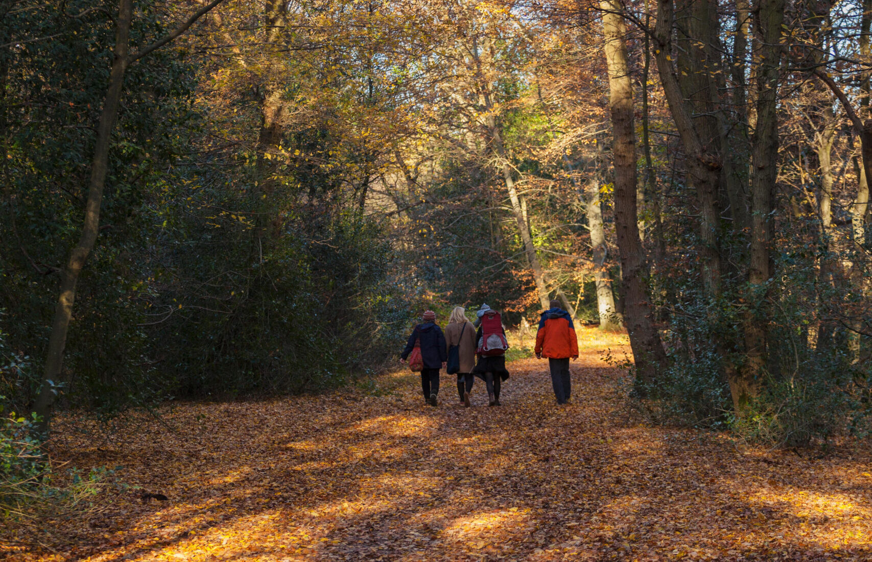 Walking through a woodland in autumn