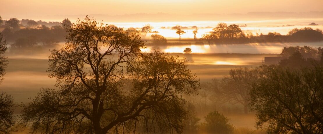 Dawn light creeping across a field of mists