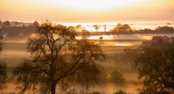 Dawn light creeping across a field of mists